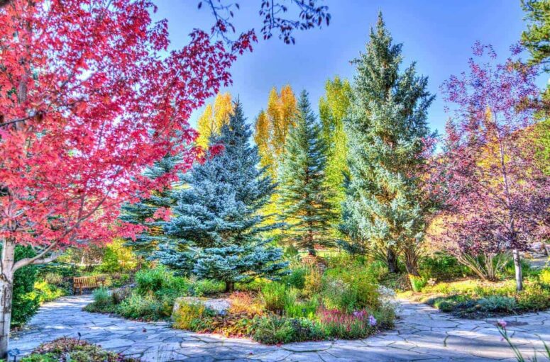 Cose che cambiano la vita da fare in Colorado