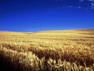 Cose memorabili da fare in Kansas