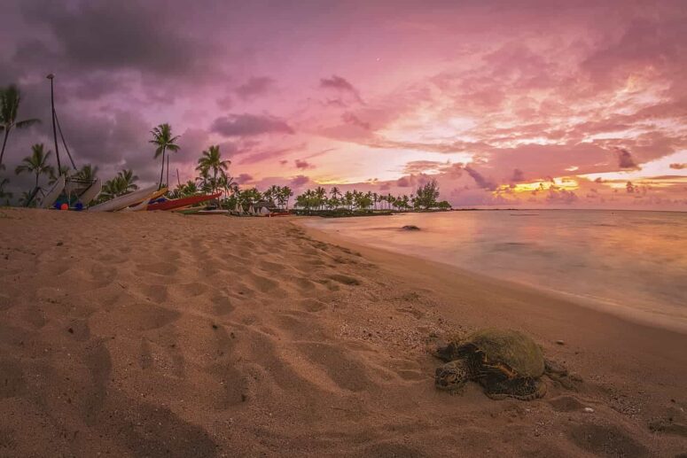 Cose avventurose da fare sulla Grande Isola delle Hawaii